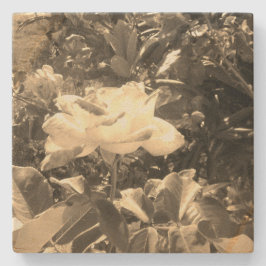 Porta-copo De Pedra Estilo design de arte de Porta copos