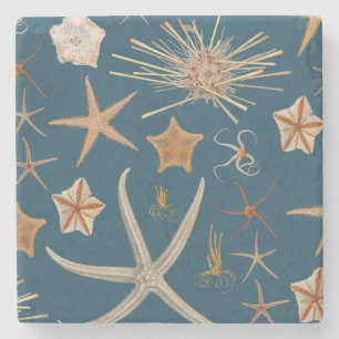 Porta-copo De Pedra Estrela do mar do vintage