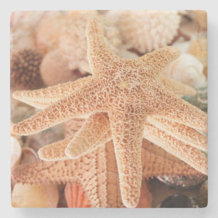 Porta-copo De Pedra Estrelas-do-mar secas vendidas como lembranças 2