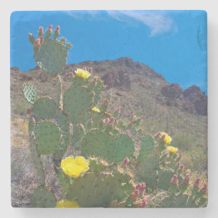 Porta-copo De Pedra EUA, Arizona. Cacto Nas Colinas
