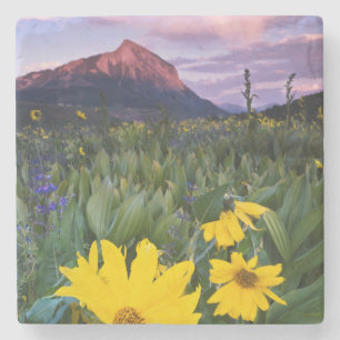 Porta-copo De Pedra EUA, Colorado, Mt. Crested Butte