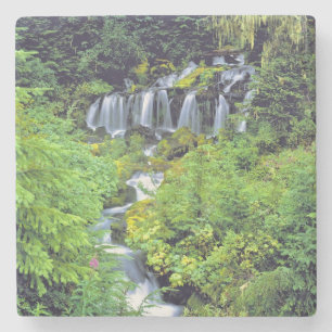 Porta-copo De Pedra EUA, Estado de Washington, Mt Adams Wilderness. G