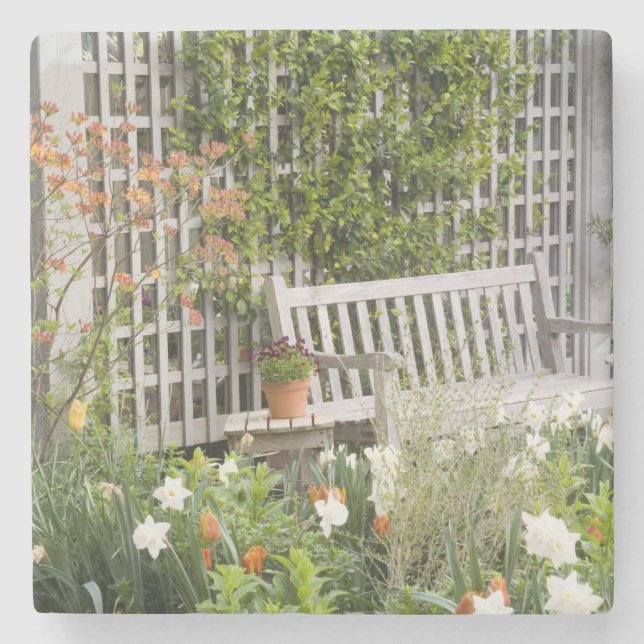 Porta-copo De Pedra EUA, Geórgia, Pine Mountain. Presidente na (Frente)