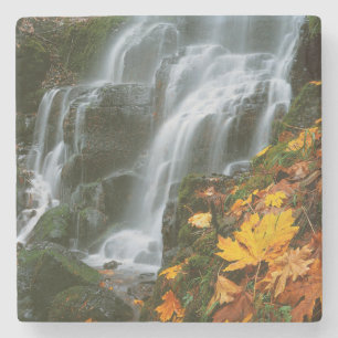 Porta-copo De Pedra EUA, Oregon, Fairy Falls, Desfiladeiro do Rio Colu