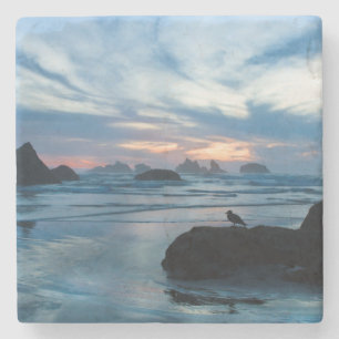 Porta-copo De Pedra EUA, Oregon, Praia de Bandon. Gaivota sobre rocha