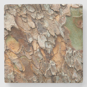 Porta-copo De Pedra EUA, Tennessee, Close-up Da Casca Em Uma Árvore