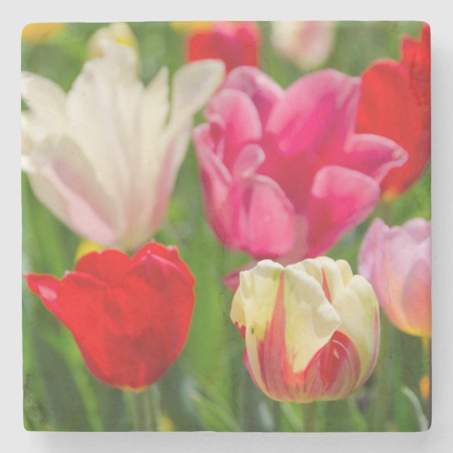 Porta-copo De Pedra EUA, Tennessee, Nashville (Frente)