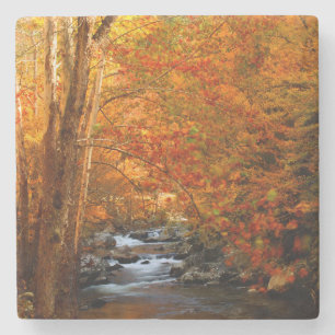 Porta-copo De Pedra EUA, Tennessee. Rushing Mountain Creek 2