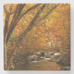 Porta-copo De Pedra EUA, Tennessee. Rushing Mountain Creek 3
