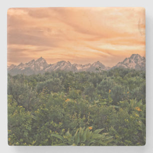 Porta-copo De Pedra EUA, Wyoming, Parque Nacional Grand Teton 1