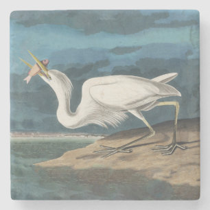 Porta-copo De Pedra Excelente White Heron Audubon Bird Willife Paintin