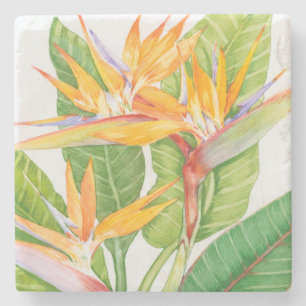Porta-copo De Pedra Exotic Flowers Watercolor