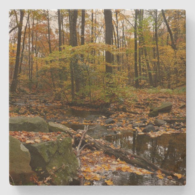 Porta-copo De Pedra Fall Creek com Reflexo no Laurel Hill Park (Frente)