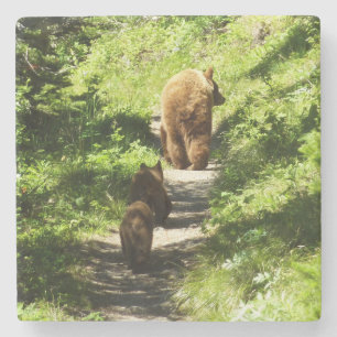 Porta-copo De Pedra Família Brown Bear