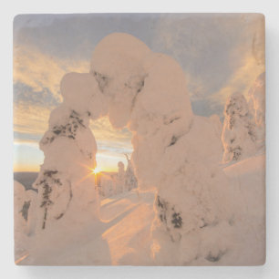 Porta-copo De Pedra Fantasmas de Neve na Cordilheira Whitefish