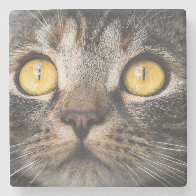 Porta-copo De Pedra Fechamento de Gato com Olhos Amarelos (Frente)