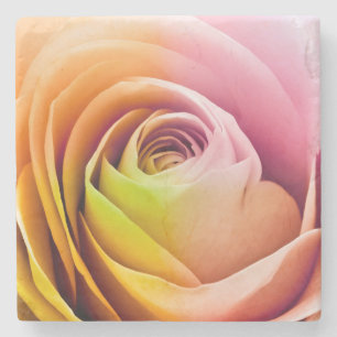 Porta-copo De Pedra Feche acima das pétalas cor-de-rosa coloridas