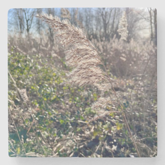 Porta-copo De Pedra Feliz outono. (Frente)