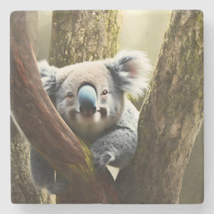 Porta-copo De Pedra Feliz Urso Australiano Koala Em Árvore, Porta copo