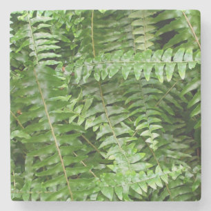 Porta-copo De Pedra Fern Frontes I Green Nature