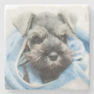 Porta-copo De Pedra Filhote de cachorro após o banho