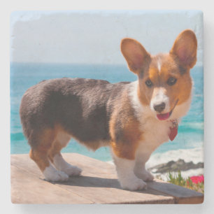 Porta-copo De Pedra Filhote de cachorro do Corgi de Galês do Pembroke