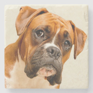 Porta-copo De Pedra Filhote de cachorro do pugilista no contexto do