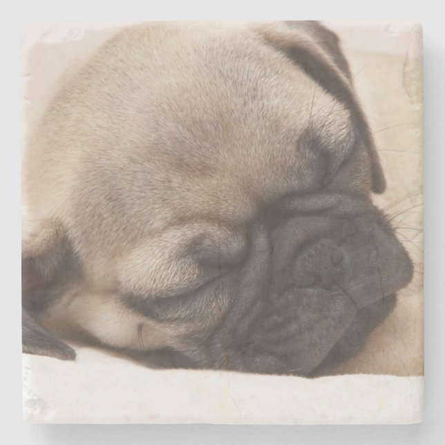 Porta-copo De Pedra Filhote de cachorro que dorme sadia (Frente)