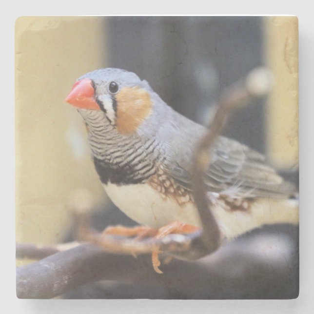 Porta-copo De Pedra Finch (Frente)
