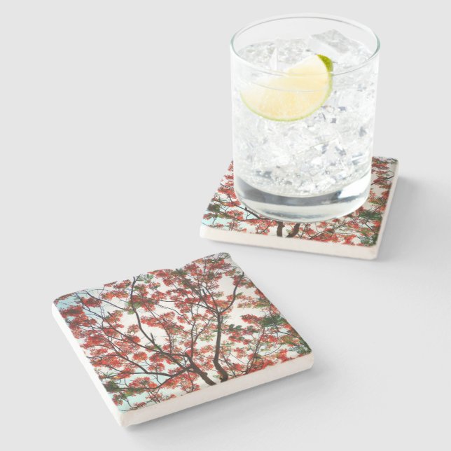 Porta-copo De Pedra Flamboyant Royal Poinciana Floral Botânica (Lateral)