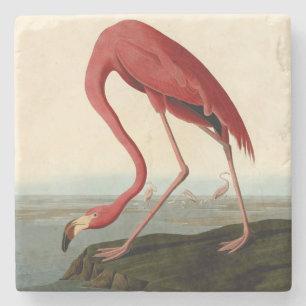 Porta-copo De Pedra Flamingo Americano