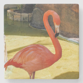 Porta-copo De Pedra Flamingo Rosa