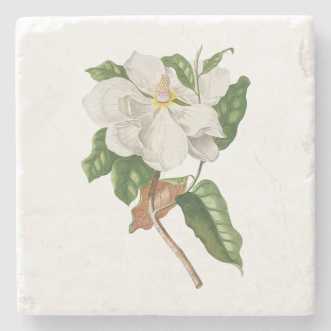 Porta-copo De Pedra Flor: A004 Magolia - (Frente)