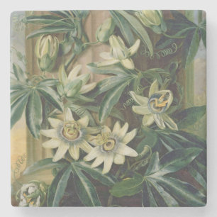Porta-copo De Pedra Flor azul da paixão para o "templo da flora" por