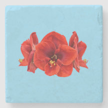 Flor de Amarílis Carmesim – Flora Botânica Elegant