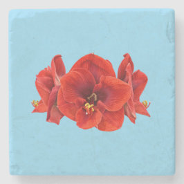 Porta-copo De Pedra Flor de Amarílis Carmesim – Flora Botânica Elegant
