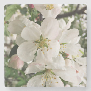 Porta-copo De Pedra Flor de maçã