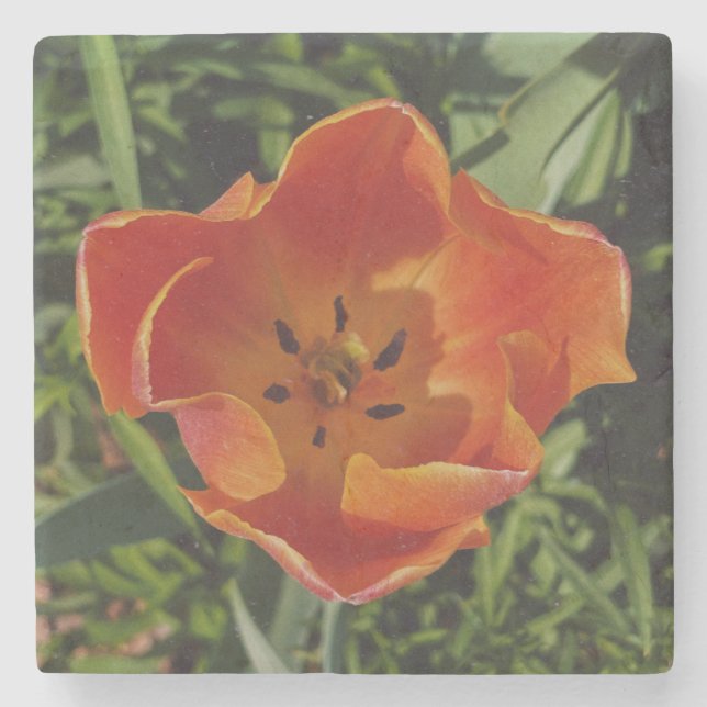 Porta-copo De Pedra flor de primavera vermelha (Frente)
