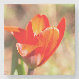 Porta-copo De Pedra Flor de Tulipas Vermelhas