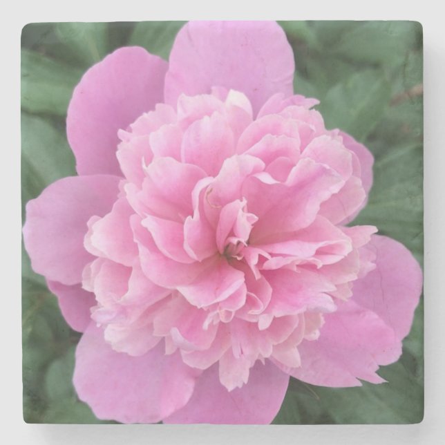 Porta-copo De Pedra Flor rosa (Frente)