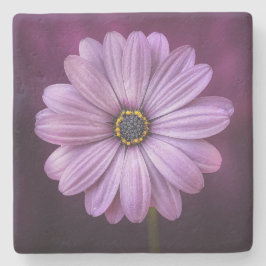 Porta-copo De Pedra Flor Roxo no Bloom