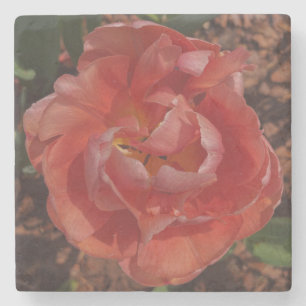 Porta-copo De Pedra flor vermelha
