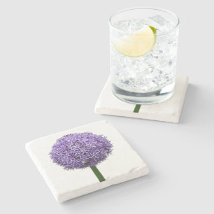 Porta-copo De Pedra Floração de Allium Roxo em Fundo Branco