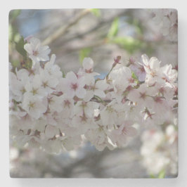 Porta-copo De Pedra Floral