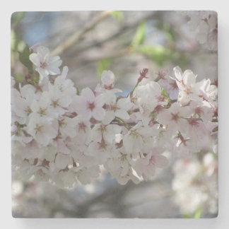 Porta-copo De Pedra Floral