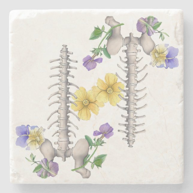 Porta-copo De Pedra Floral Anatomy - Vertebrae, Hip Bone (Frente)