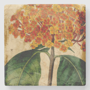 Porta-copo De Pedra Floral I vibrante