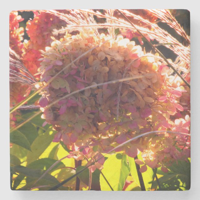 Porta-copo De Pedra Floral: Porta copos com hidrangas vívidas cor-de-r (Frente)