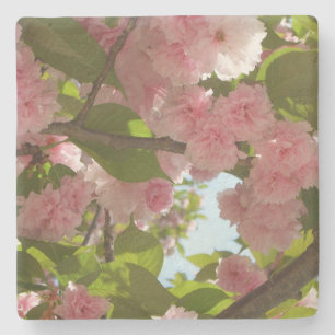 Porta-copo De Pedra Floral Primavera da Árvore III da Cherry com duas