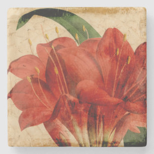 Porta-copo De Pedra Floral VIII vibrante